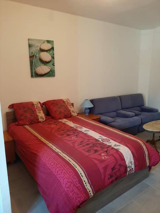 카스트르 Confortable En Hyper Centre Parking Gratuit Dans La Rue Acces Avec Boite A Clee 아파트 외부 사진